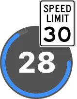 The Speed widget